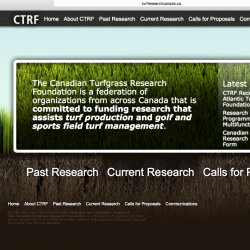 Turf-Research